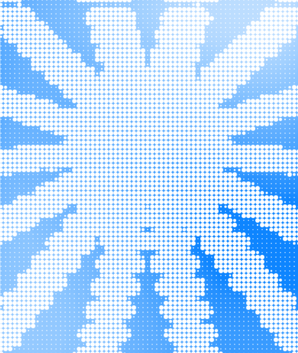 Introduction section of wimbee GIF